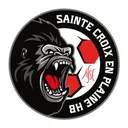 logo Sainte Croix en Plaine HB