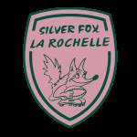 logo Silver's Fox