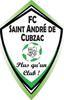 logo St Andre Cubzac FC 1