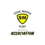logo Stade Montois