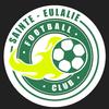 logo FC Sainte Eulalie Omnisports