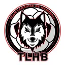 logo Team Lensoise de Handball