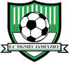 Tignieu Jameyzieu FC Seniors 1