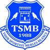 logo Tour S. Merles Blancs 88 Verteil