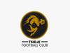 logo Tsidjé FC Genelia Engineering