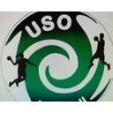 logo US D'ormesson