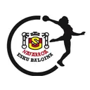 logo US Nafarroa Handball