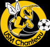 Usm Chanteau Seniors Futsal 1