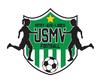 Usm Vitry Seniors 1