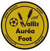 Vallis Aurea Foot Seniors 1