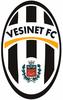 Vesinet FC Vétérans 1