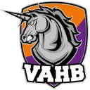 logo Villeneuve Ablon Handball