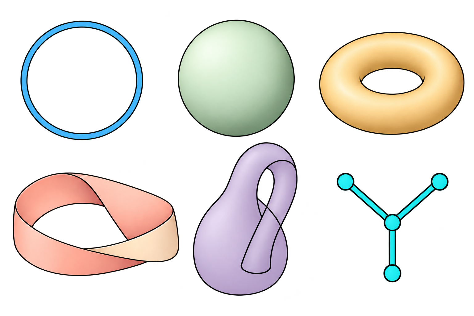 Galerie topologique et graphe en Y