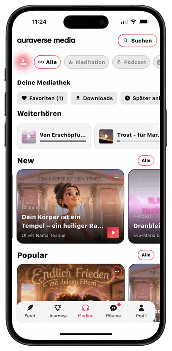 Feed im hellen Modus