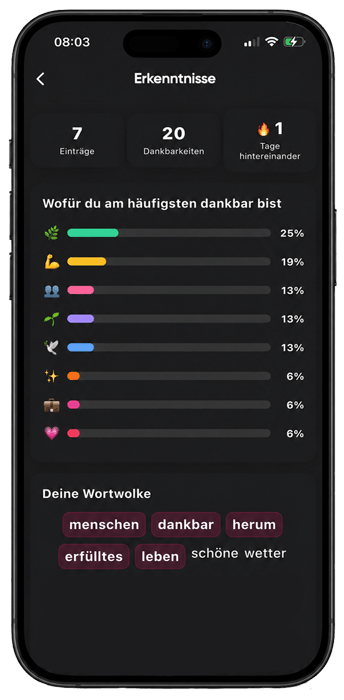 AuraJournal Erkenntnisse