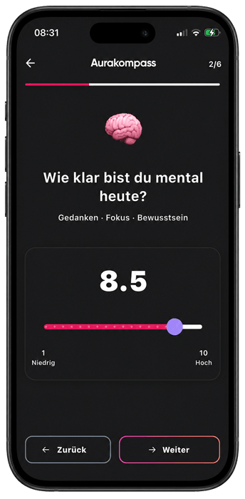 Aurakompass Befragung