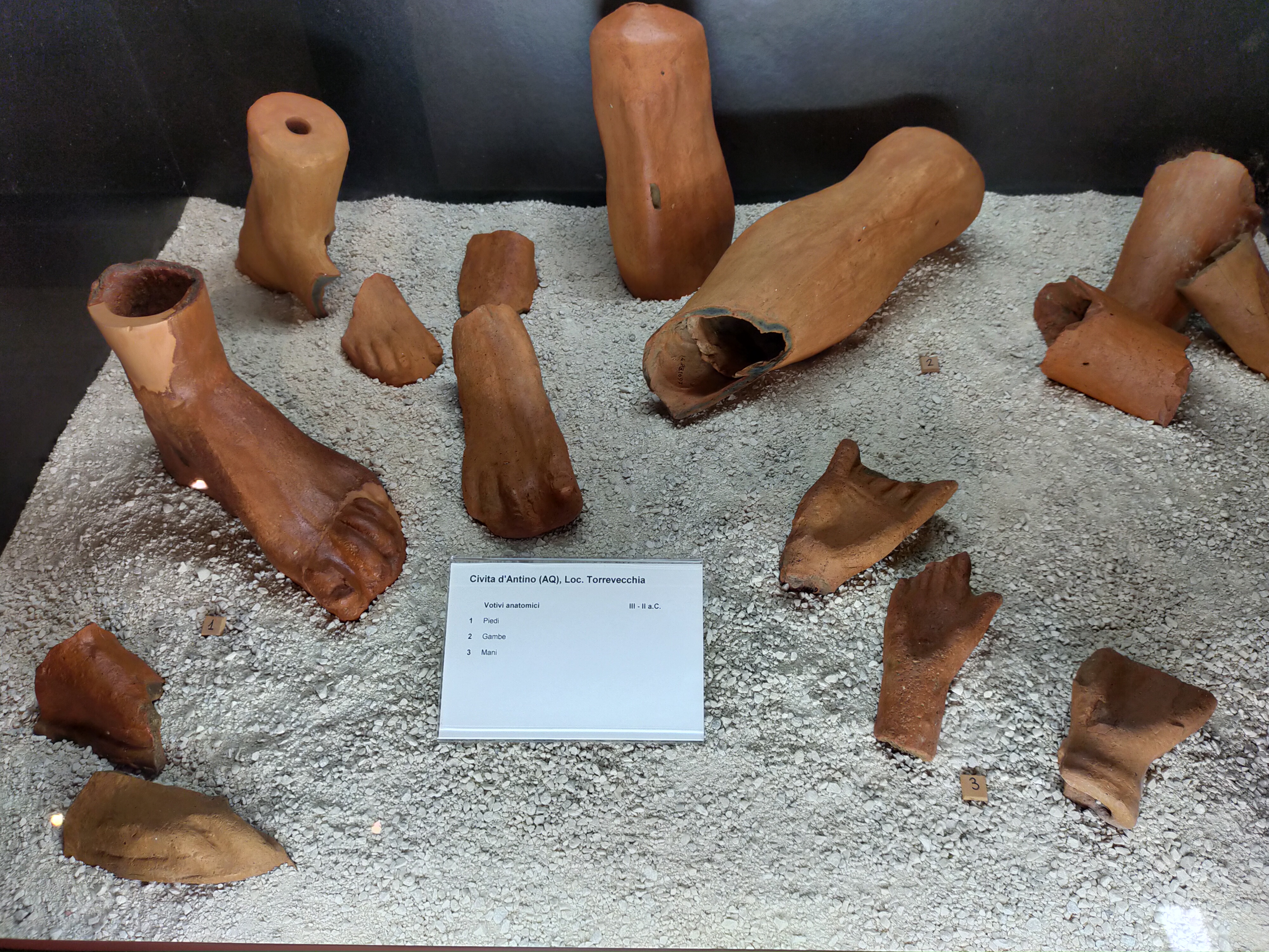 Antinum