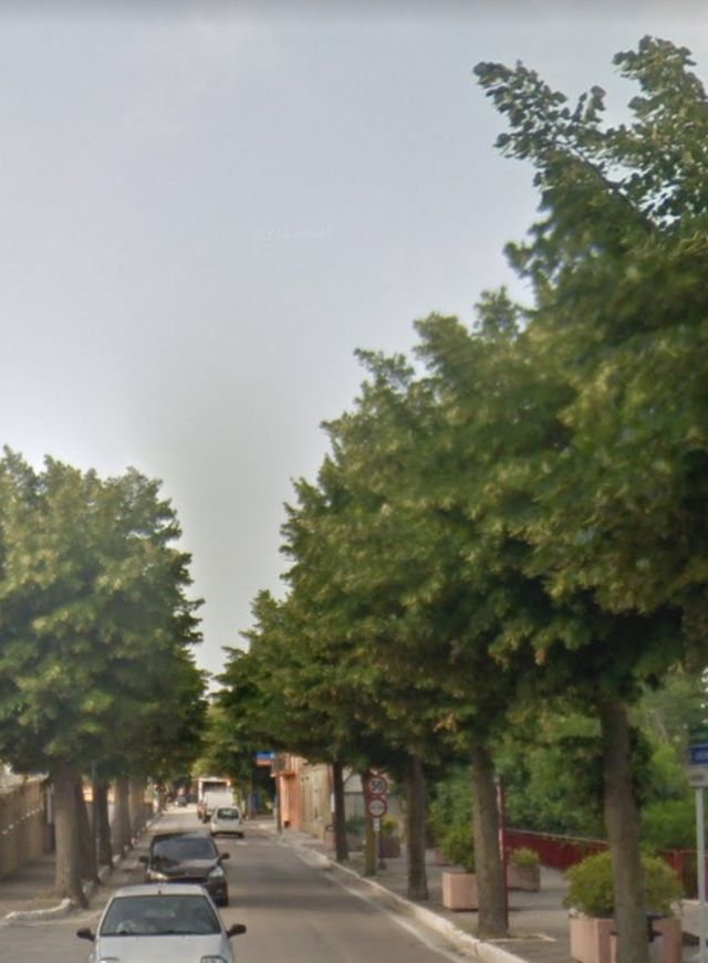 Viale della Rimembranza di San Vito Chietino