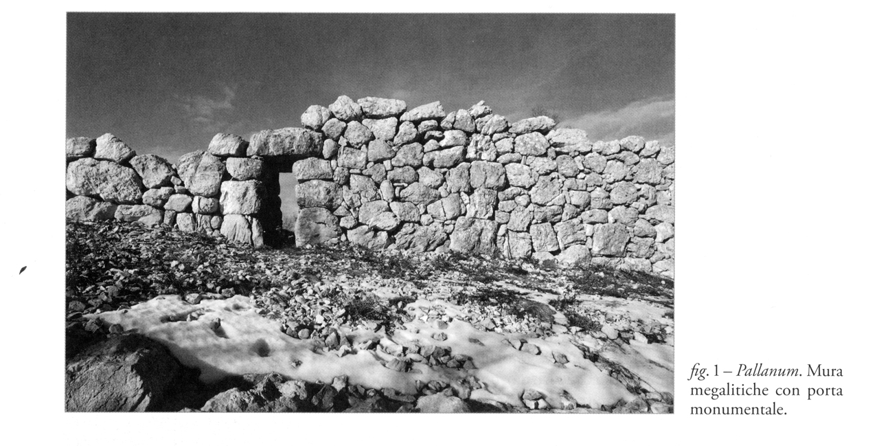 struttura muraria, struttura di fortificazione