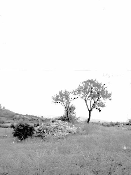 Mausoleo C
