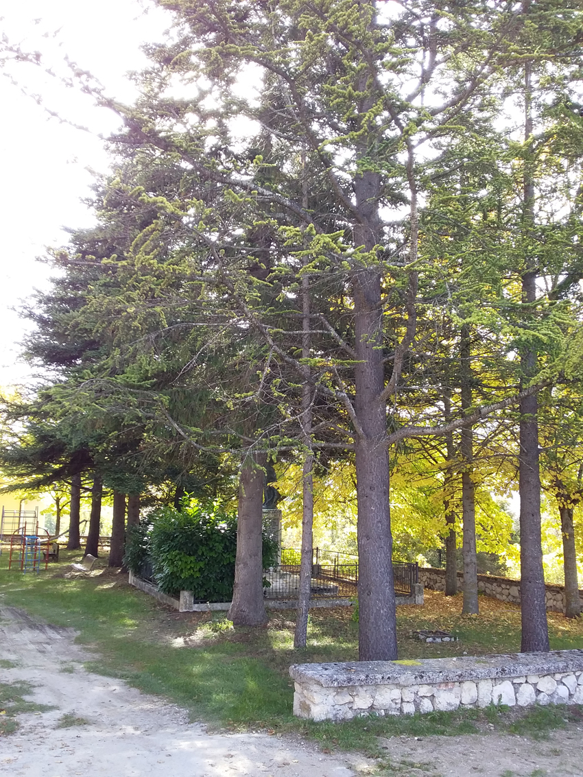 parco monumento ai caduti di Fagnano Alto