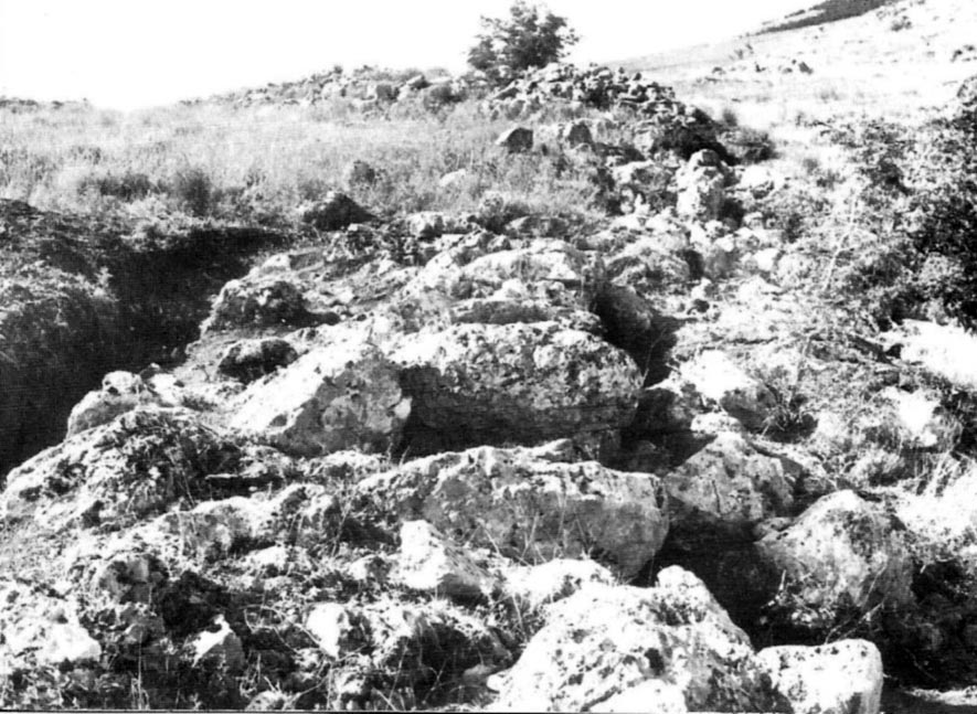 Mura megalitiche di colle di Torre Mancini