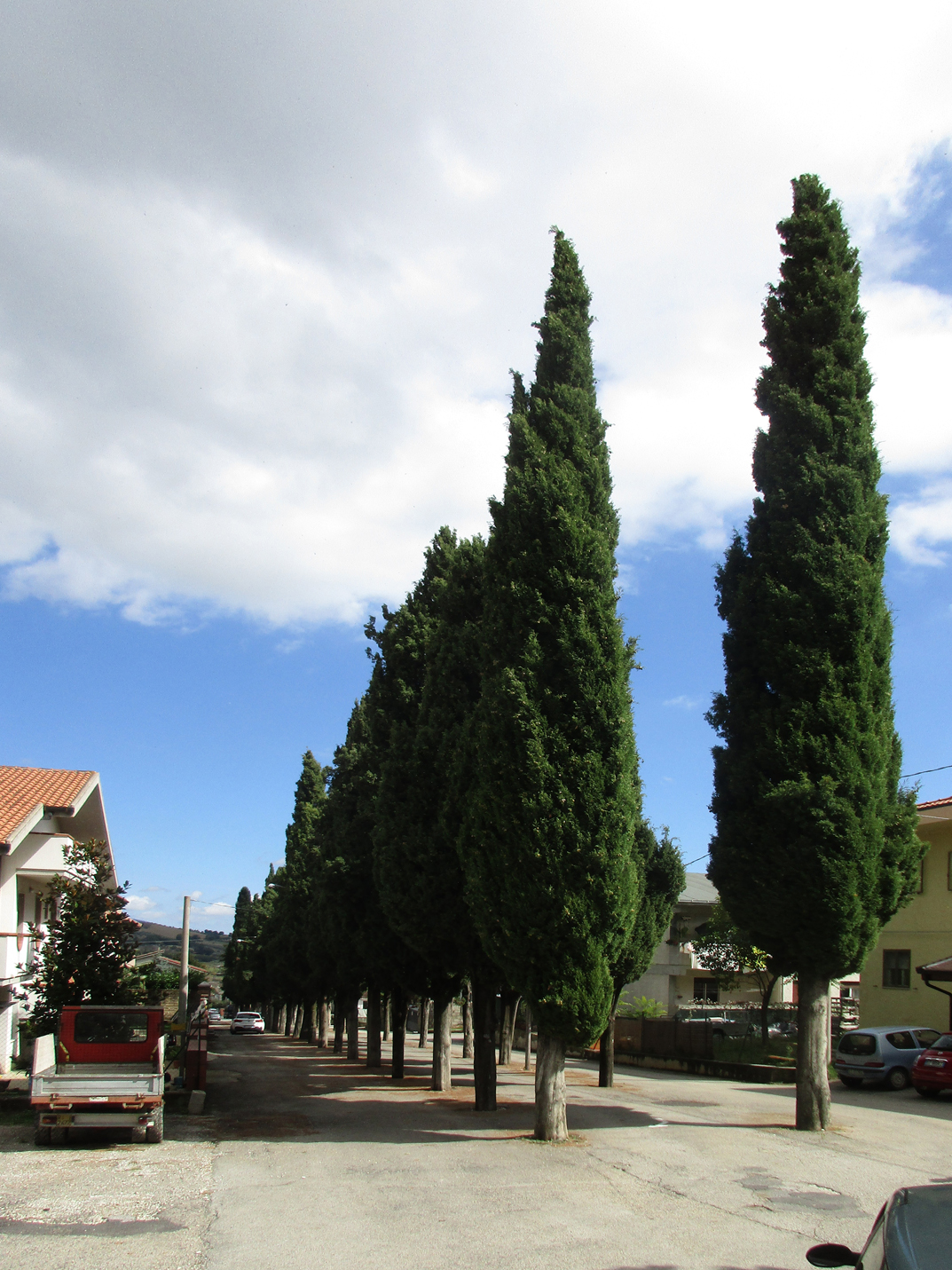 Viale della Rimembranza di Civitella Casanova