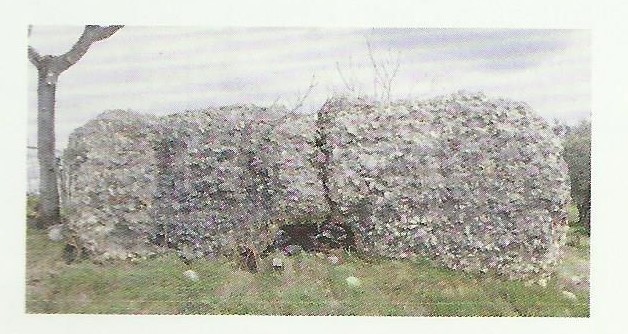 cisterna