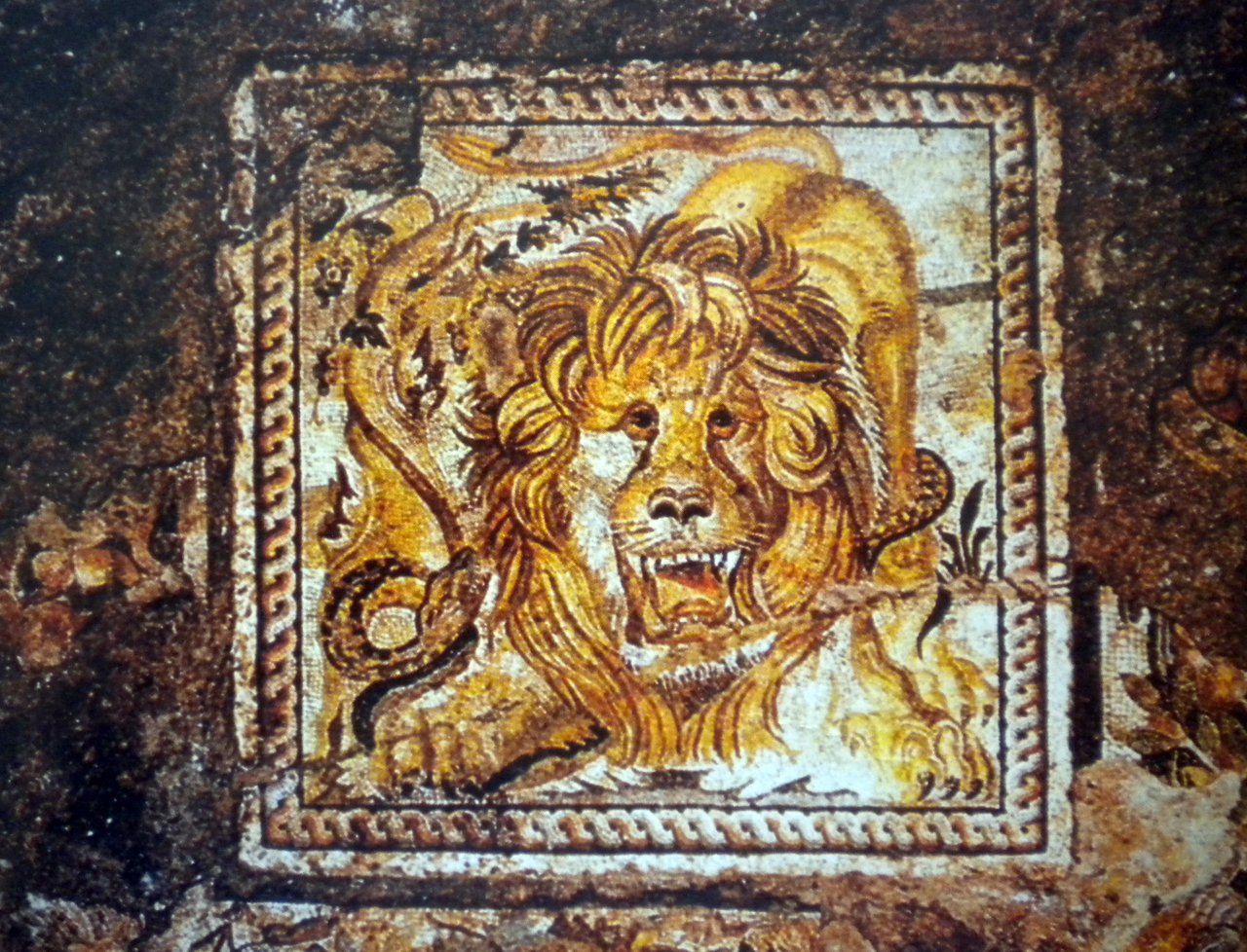 domus, struttura abitativa
