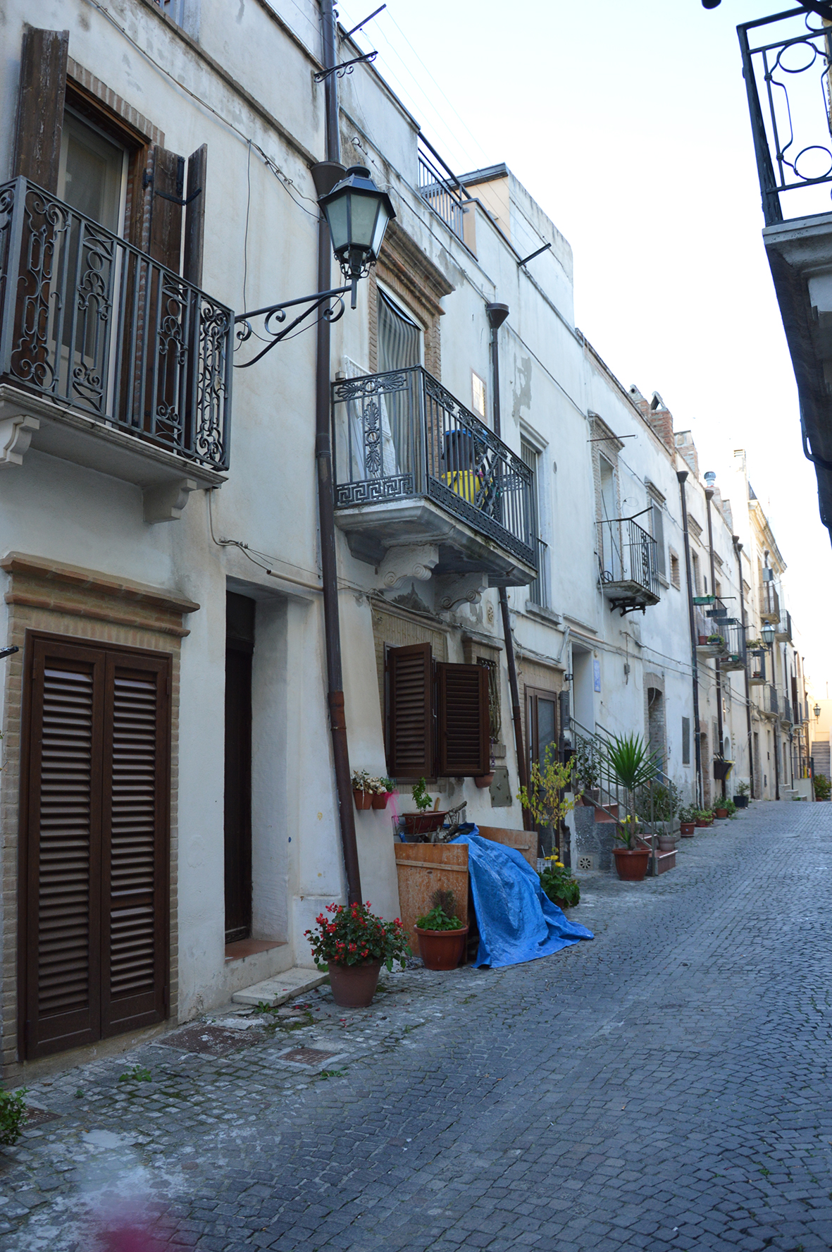 quinta stradale