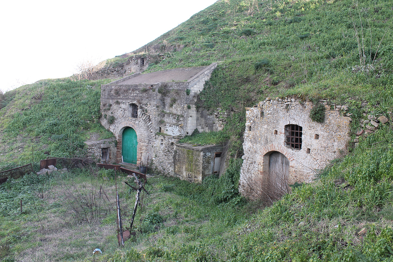 cantina, cantine