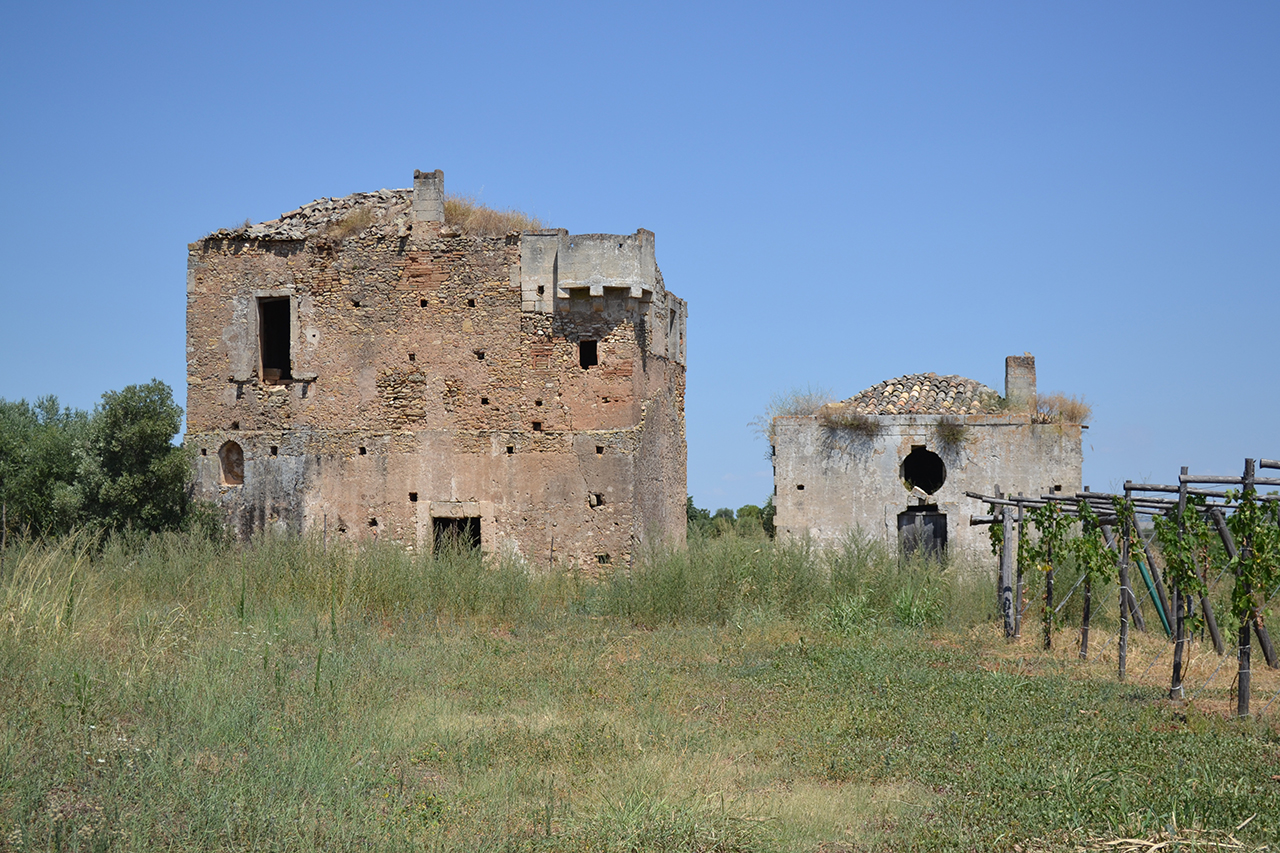 oliveto, Oliveto dei Monaci