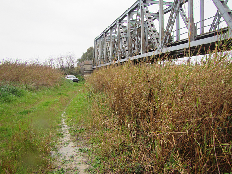 ponte, PONTE SUL FIUME BASENTO