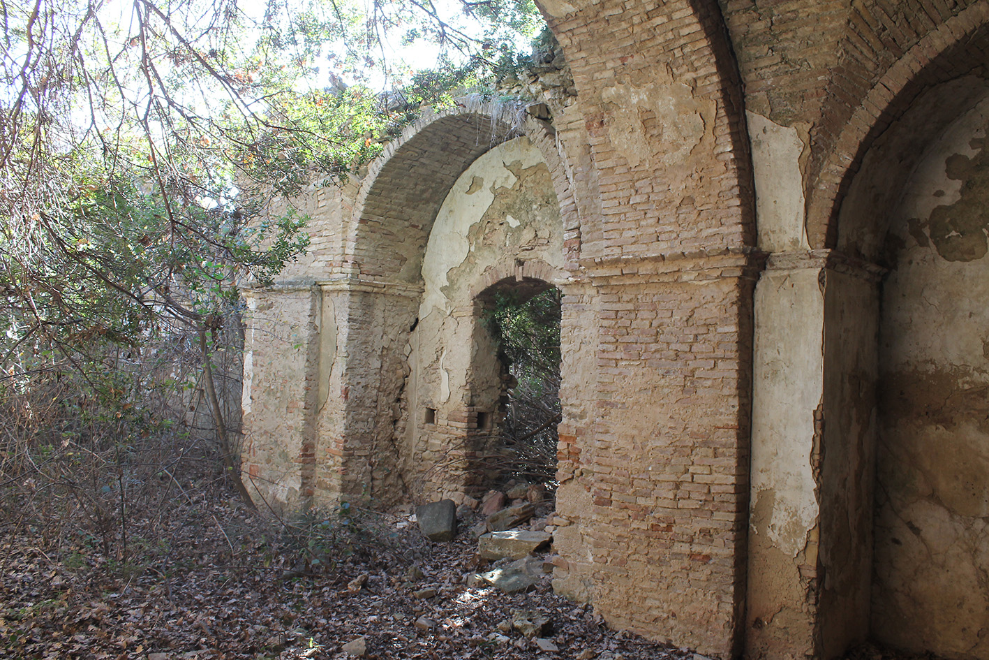 chiesa, rurale, chiesa dell'Abbazia, Madonna della Nova
