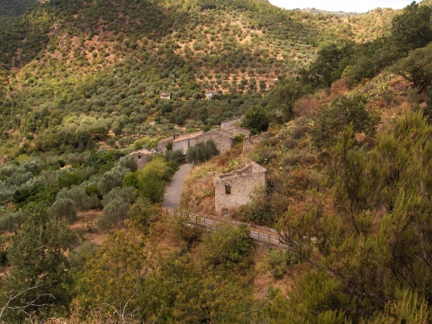 nucleo storico, spontaneo, agricolo, Carello, Cariellu