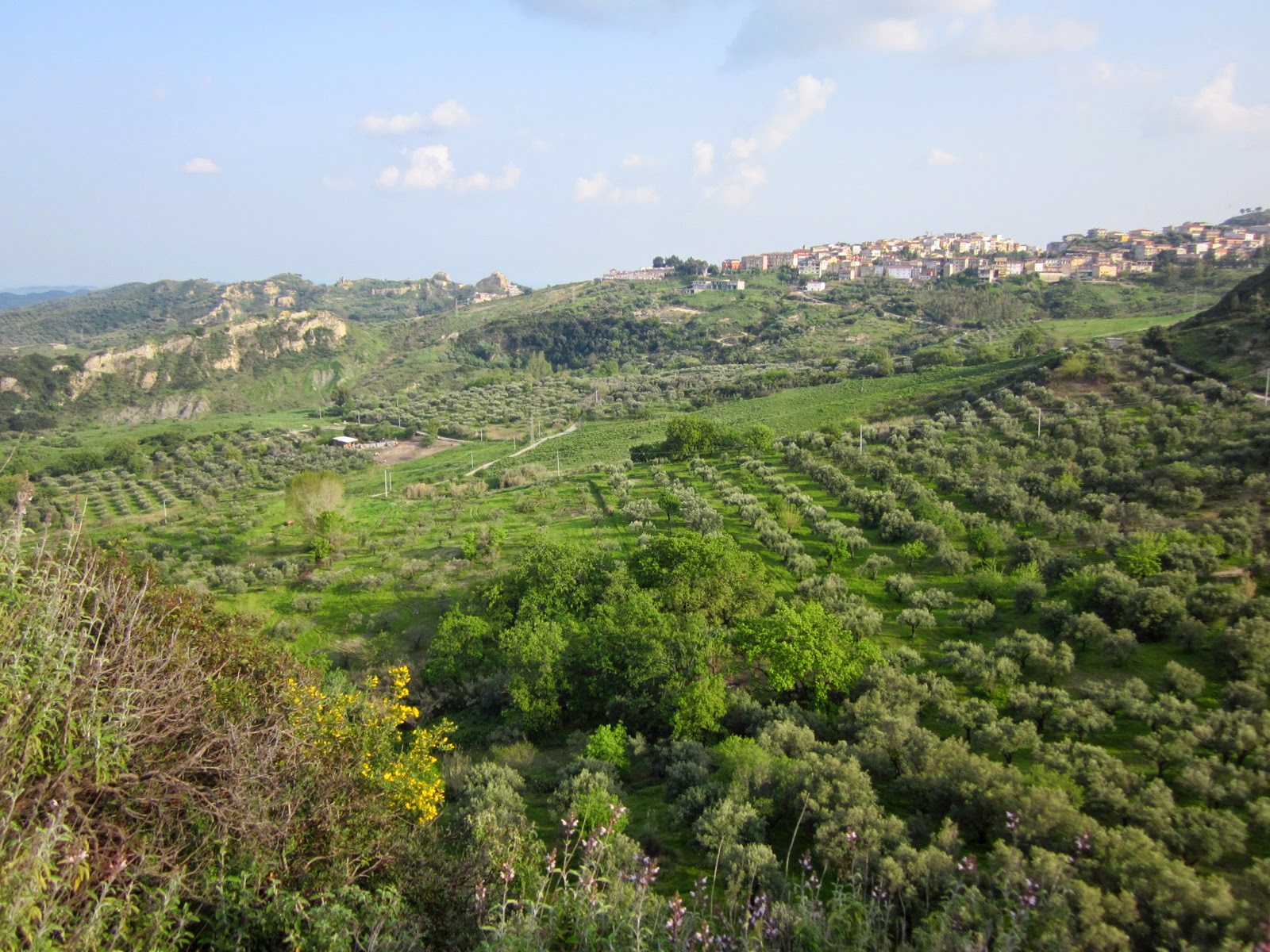 centro storico, di crinale, collinare, agricolo, Casabona