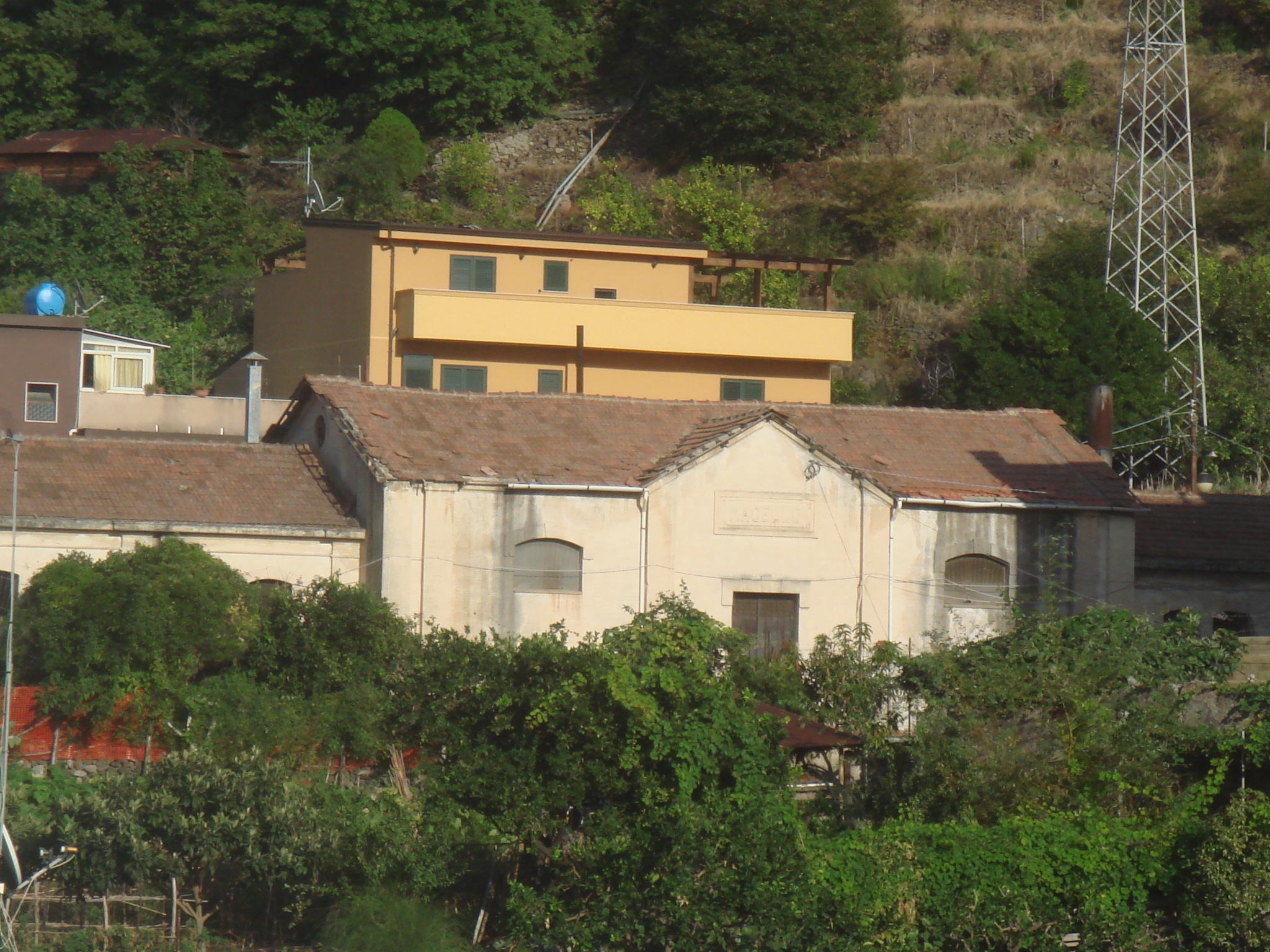Macello di Bagnara Calabra