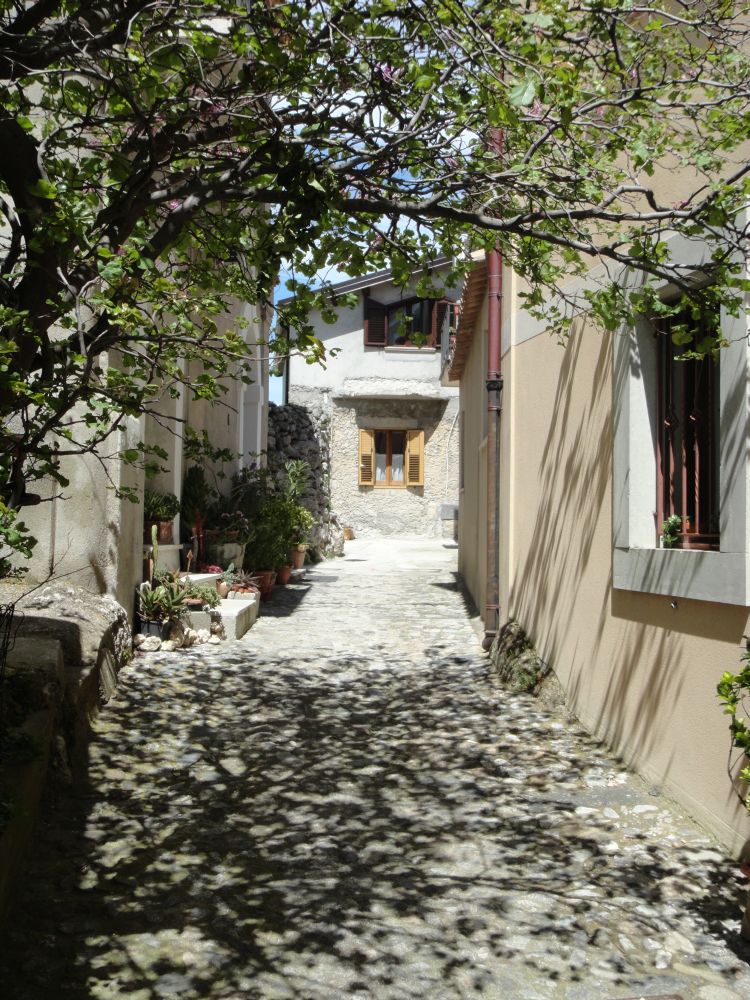 Casa/Rudere in vico Brofferio