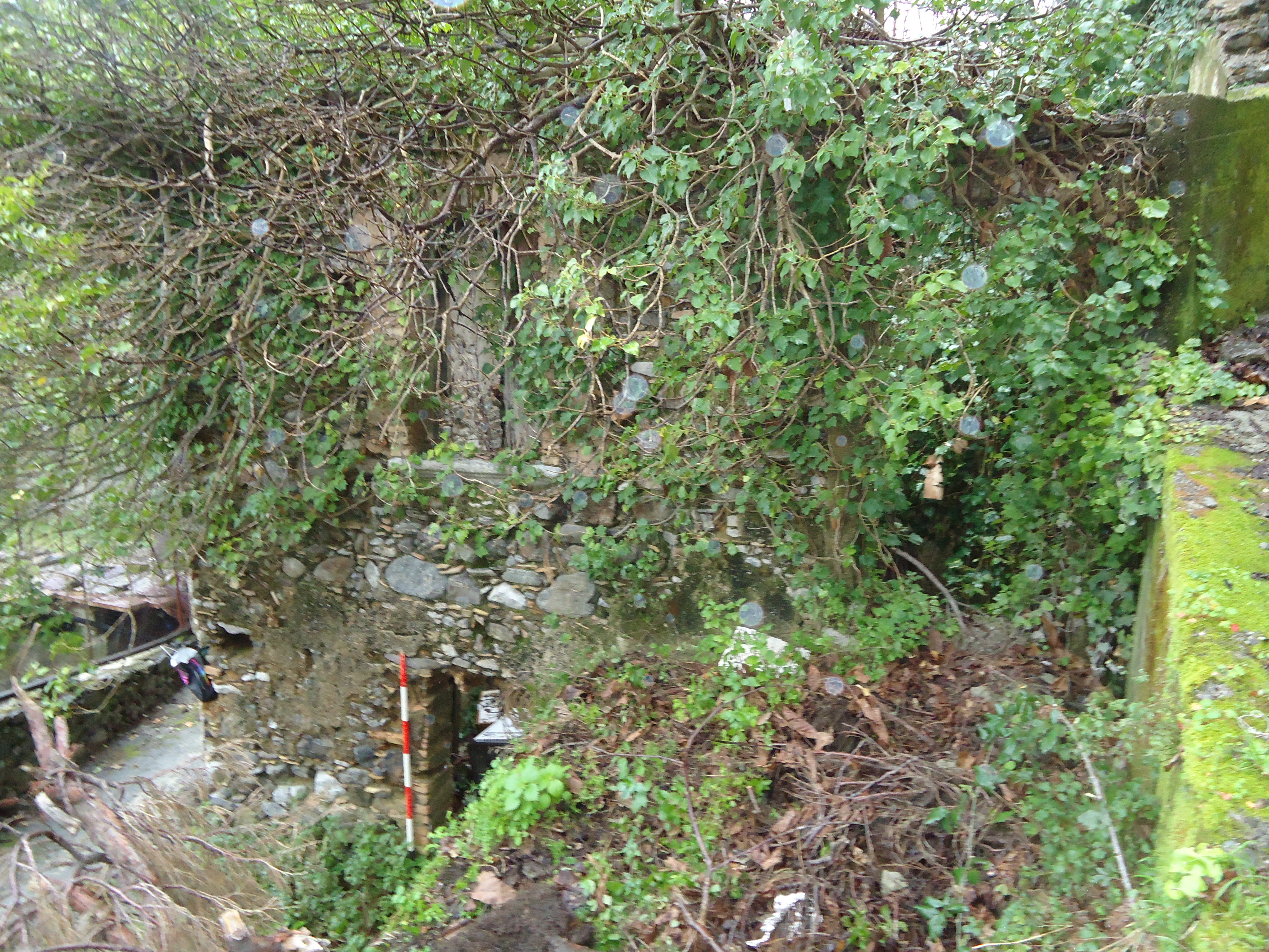 Mulino Morisani