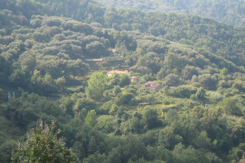 centro storico, di mezzacosta, Nicastrello