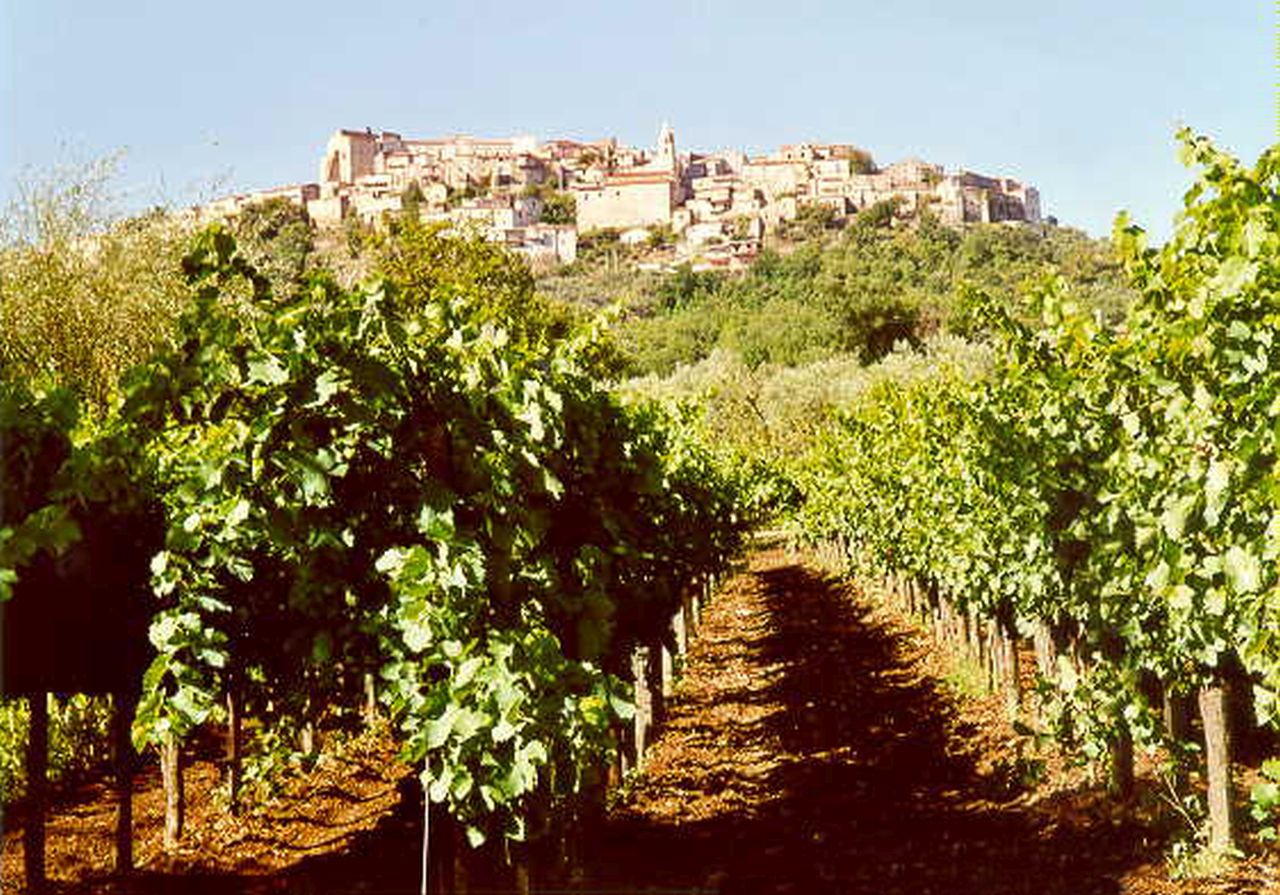 centro storico, collinare, Torrecuso