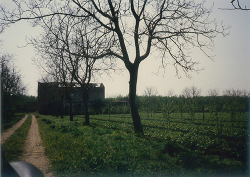 Masseria Torre