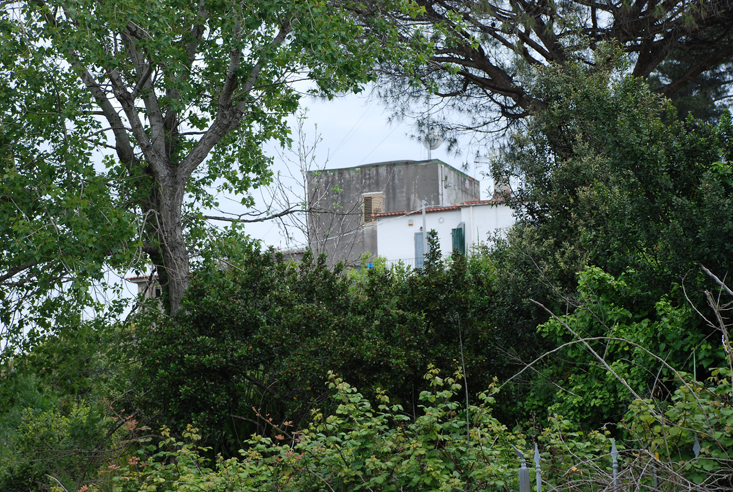 [Masseria Via Bellavista,99]