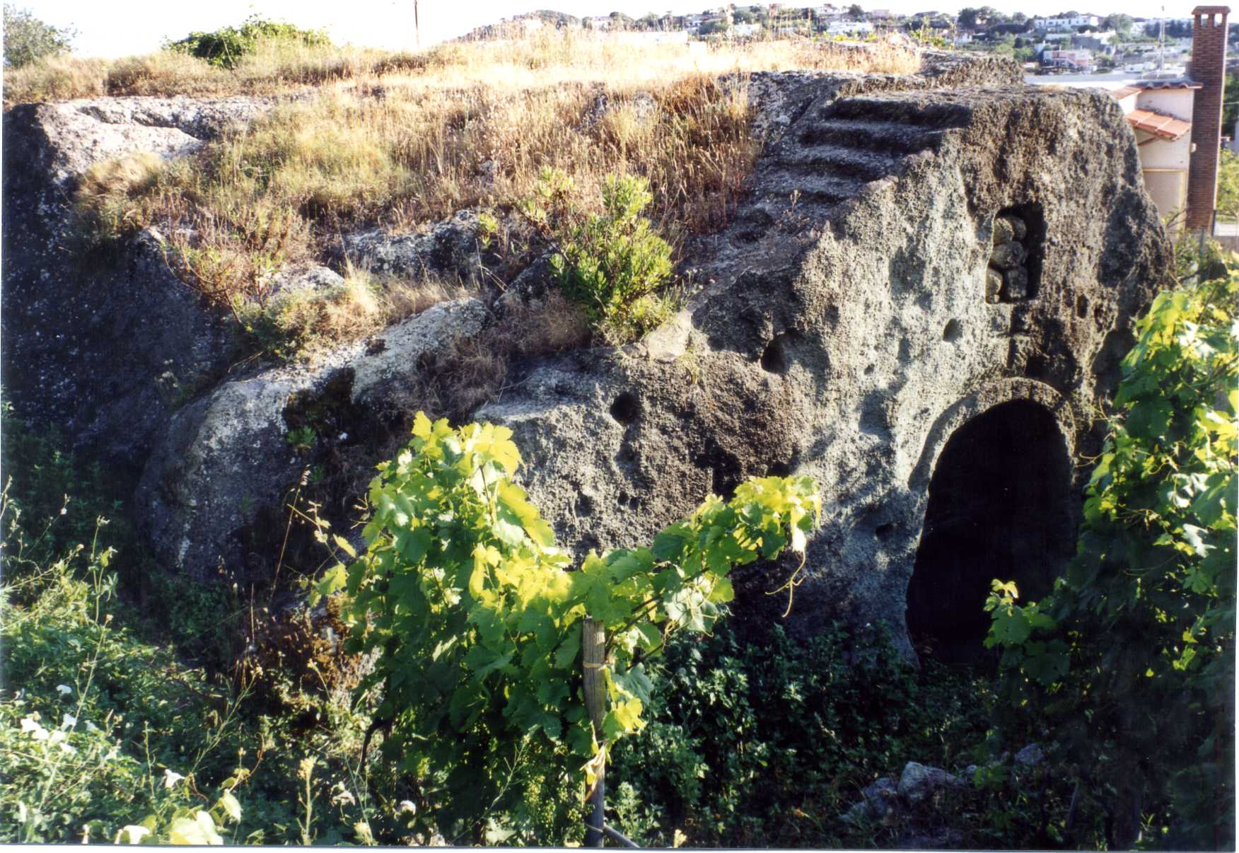 cellaio rurale