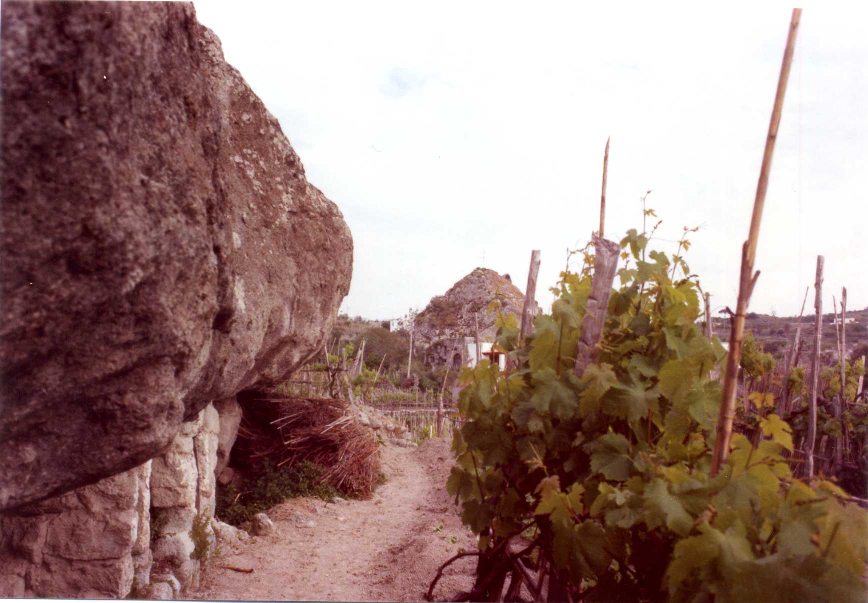 conigliera rurale