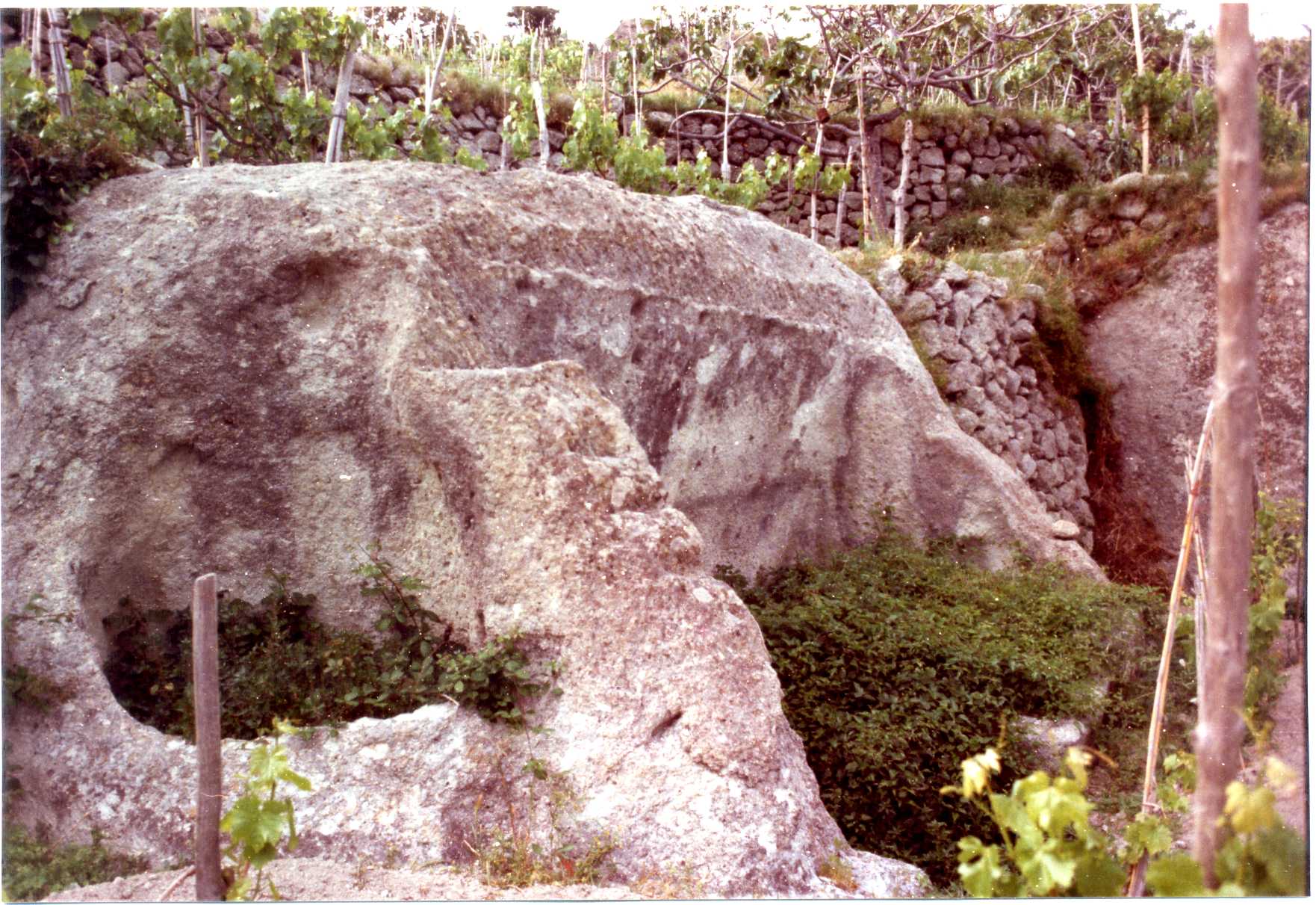 palmento rurale