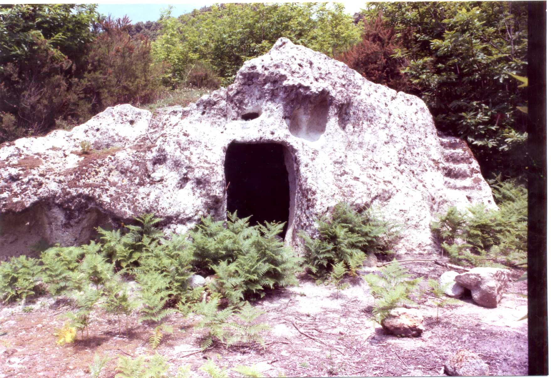 ricovero rurale temporaneo