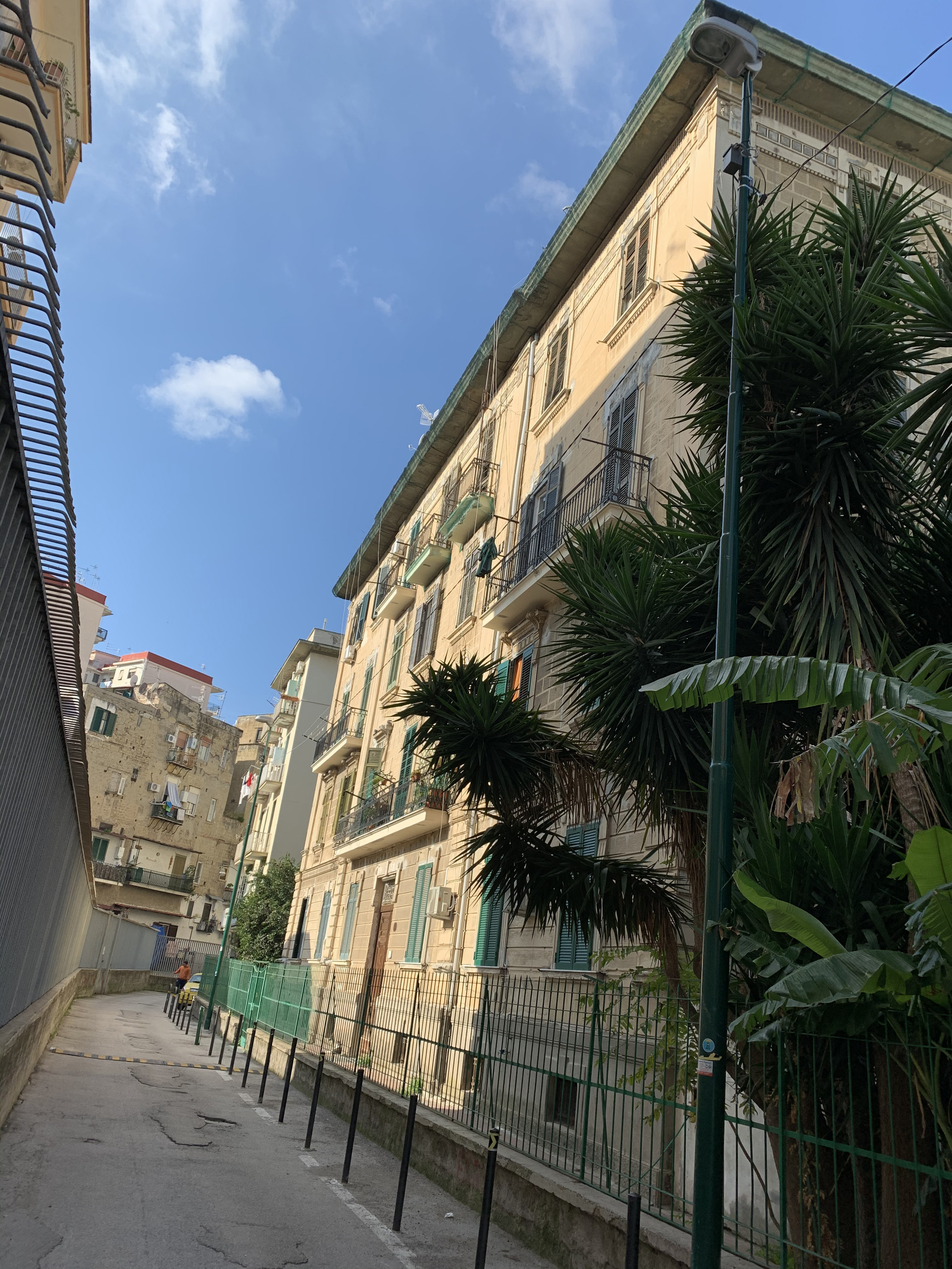 [Palazzo privato in via Antonio Ludovico Antinori, 8]