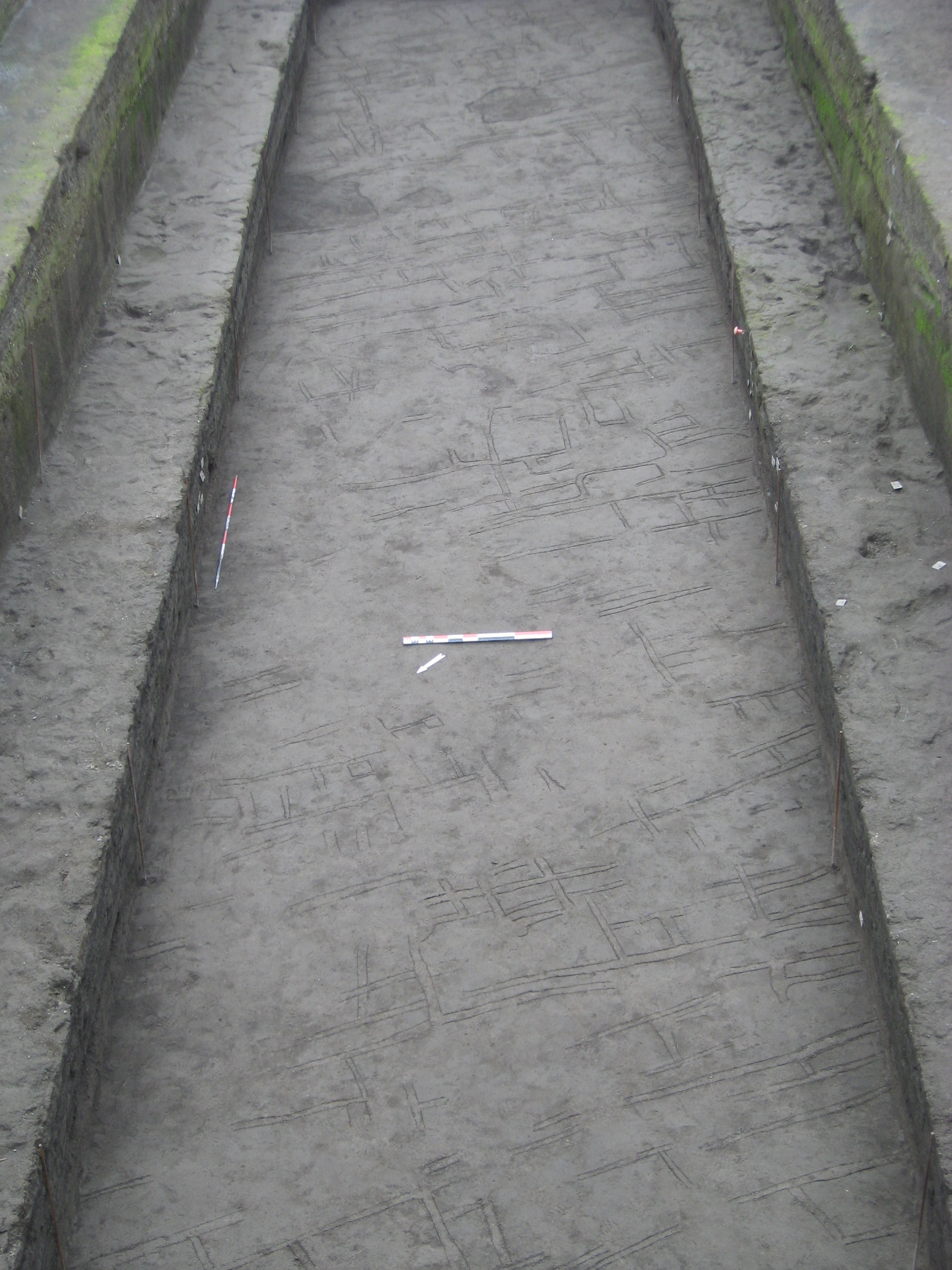 tracce di frequentazione, paleosuolo