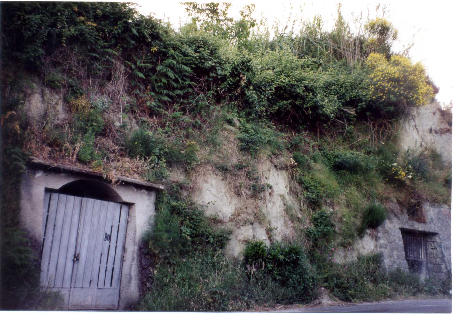 cellaio rurale